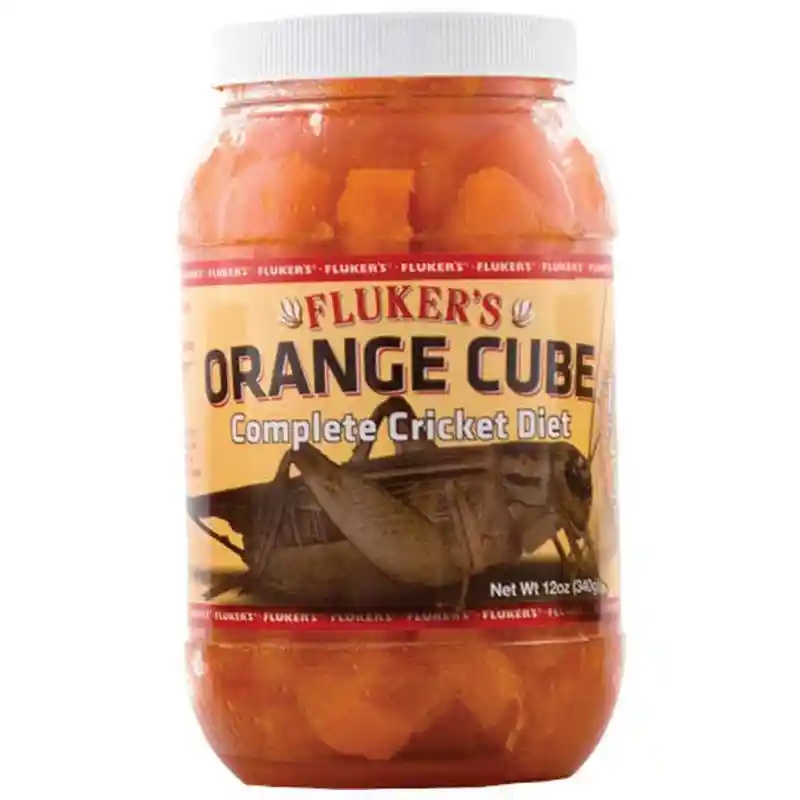 Flk 12-oz Cricket Orange Cube